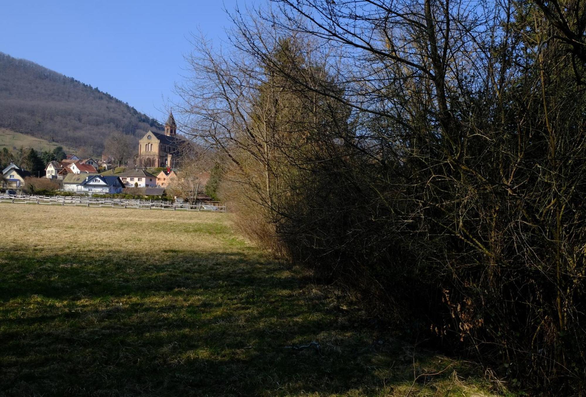 Aux Jardins D'Argiles Apartment Buhl ภายนอก รูปภาพ